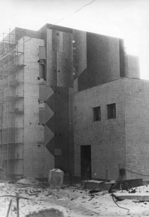 Мозаика на фасаде д/к завода «Красный Аксай» в Ростове-на-Дону. 1979